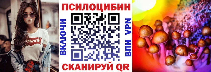 Купить где  Константиновск  Галлюциногенные грибы GOLDEN TEACHER 